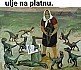 Nema slike