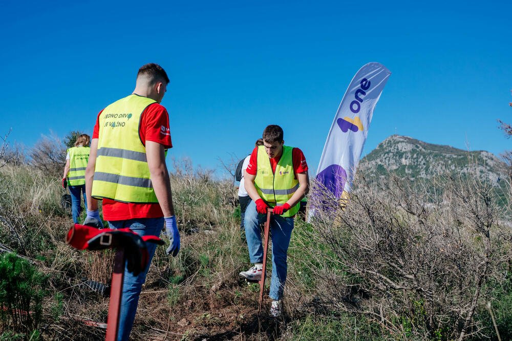 Problem učitavanja slike